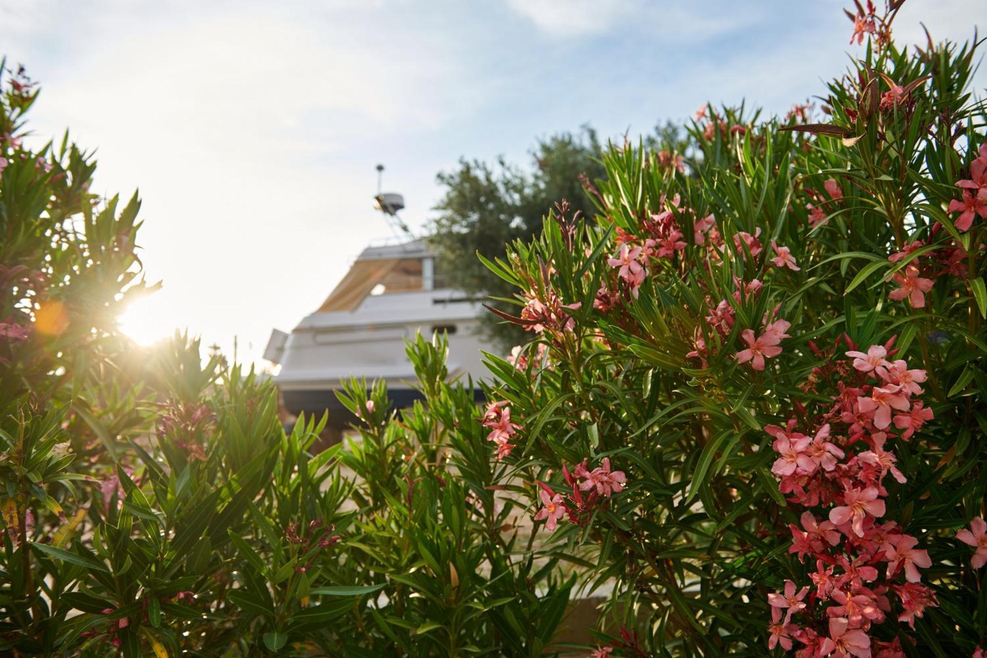 Villa Cuchi-Barco Morata de Tajuna Esterno foto